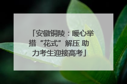 安徽铜陵：暖心举措“花式”解压 助力考生迎接高考