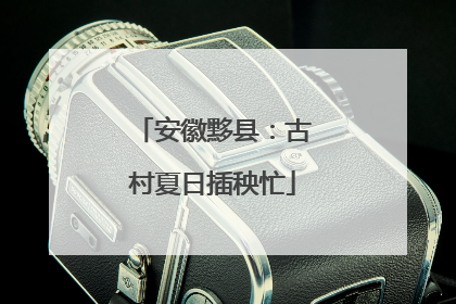 安徽黟县：古村夏日插秧忙