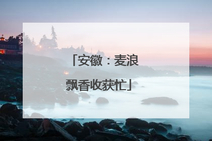 安徽：麦浪飘香收获忙