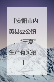 安阳市内黄县豆公镇：“三夏”生产有实招