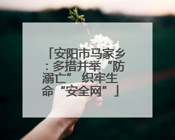 安阳市马家乡：多措并举“防溺亡” 织牢生命“安全网”