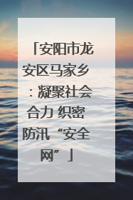 安阳市龙安区马家乡：凝聚社会合力 织密防汛“安全网”