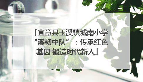 宜章县玉溪镇城南小学“溪韧中队”：传承红色基因 锻造时代新人