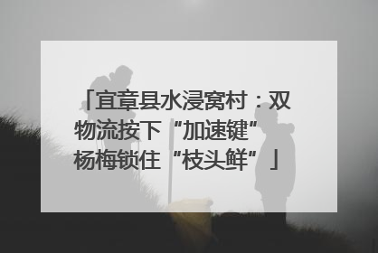 宜章县水浸窝村：双物流按下“加速键” 杨梅锁住“枝头鲜”