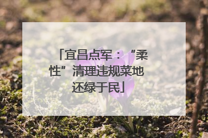 宜昌点军：“柔性”清理违规菜地 还绿于民