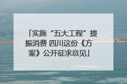 实施“五大工程”提振消费 四川这份《方案》公开征求意见