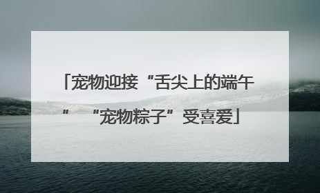 宠物迎接“舌尖上的端午” “宠物粽子”受喜爱