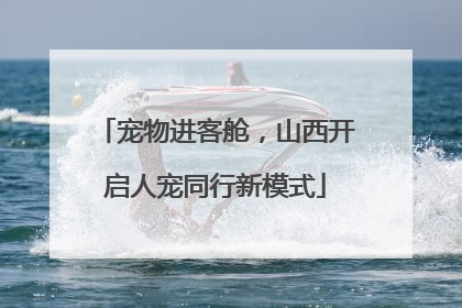 宠物进客舱，山西开启人宠同行新模式