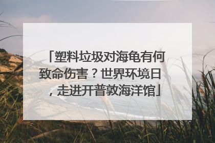 塑料垃圾对海龟有何致命伤害？世界环境日，走进开普敦海洋馆
