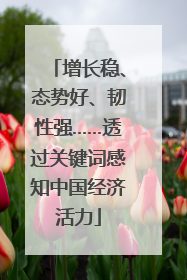 增长稳、态势好、韧性强……透过关键词感知中国经济活力