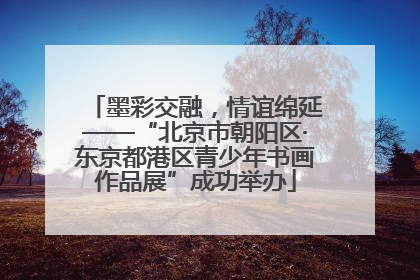 墨彩交融，情谊绵延——“北京市朝阳区·东京都港区青少年书画作品展”成功举办