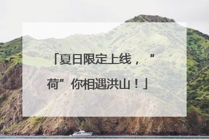 夏日限定上线，“荷”你相遇洪山！