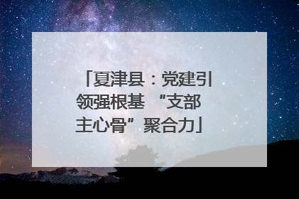 夏津县：党建引领强根基 “支部主心骨”聚合力