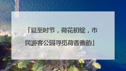 夏至时节，荷花初绽，市民游客公园寻觅荷香雅韵