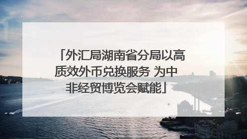 外汇局湖南省分局以高质效外币兑换服务 为中非经贸博览会赋能