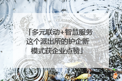 多元联动+智慧服务 这个派出所的护企新模式获企业点赞