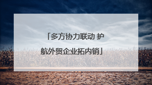 多方协力联动 护航外贸企业拓内销