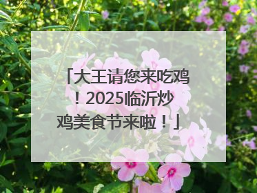 大王请您来吃鸡！2025临沂炒鸡美食节来啦！