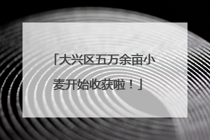 大兴区五万余亩小麦开始收获啦！