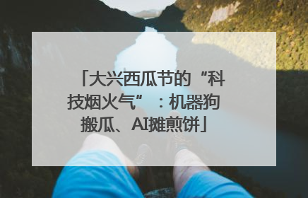 大兴西瓜节的“科技烟火气”：机器狗搬瓜、AI摊煎饼