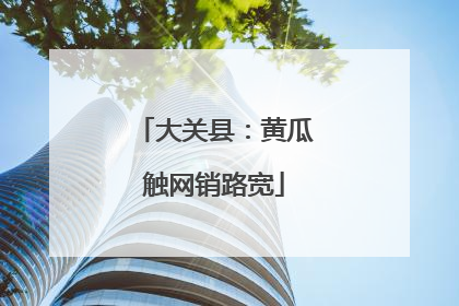 大关县：黄瓜触网销路宽