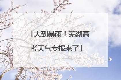 大到暴雨！芜湖高考天气专报来了