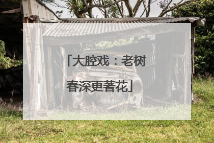 大腔戏：老树春深更著花