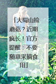 大蜀山捡蘑菇？近期疯长！官方提醒：不要随意采摘食用