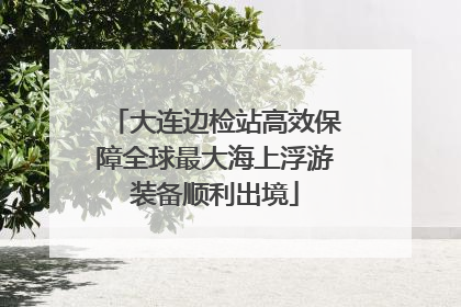 大连边检站高效保障全球最大海上浮游装备顺利出境