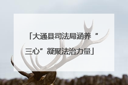 大通县司法局涵养“三心”凝聚法治力量
