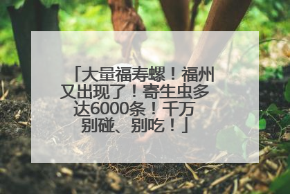 大量福寿螺！福州又出现了！寄生虫多达6000条！千万别碰、别吃！