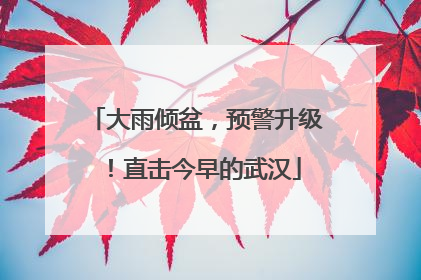 大雨倾盆，预警升级！直击今早的武汉