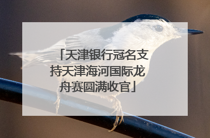 天津银行冠名支持天津海河国际龙舟赛圆满收官