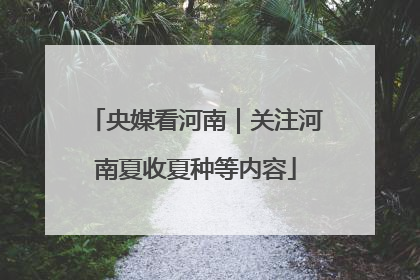 央媒看河南｜关注河南夏收夏种等内容