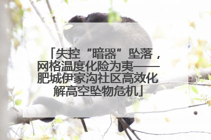 失控“暗器”坠落，网格温度化险为夷——肥城伊家沟社区高效化解高空坠物危机