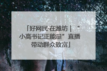 好网民·在潍坊｜“小高书记正能量”直播 带动群众致富