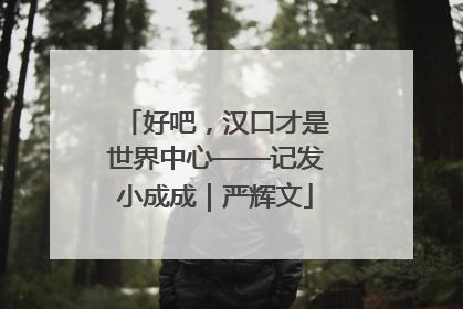 好吧，汉口才是世界中心——记发小成成｜严辉文