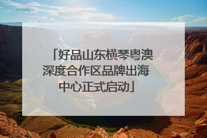 好品山东横琴粤澳深度合作区品牌出海中心正式启动