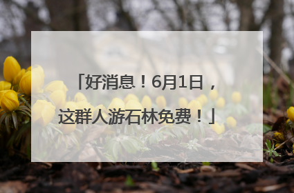 好消息！6月1日，这群人游石林免费！