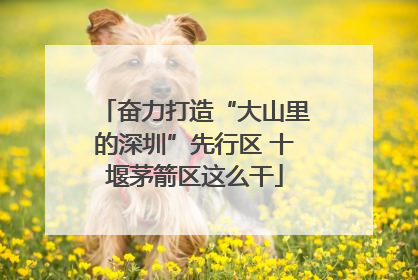 奋力打造“大山里的深圳”先行区 十堰茅箭区这么干