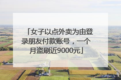 女子以点外卖为由登录朋友付款账号，一个月盗刷近9000元