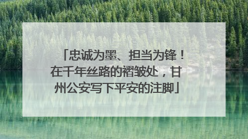 忠诚为墨、担当为锋！在千年丝路的褶皱处，甘州公安写下平安的注脚