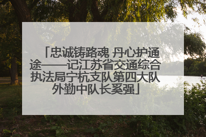 忠诚铸路魂 丹心护通途——记江苏省交通综合执法局宁杭支队第四大队外勤中队长奚强