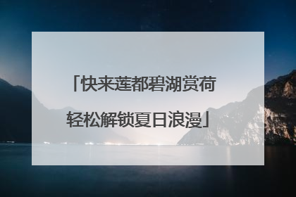 快来莲都碧湖赏荷 轻松解锁夏日浪漫