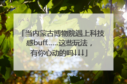 当内蒙古博物院遇上科技感buff……这些玩法，有你心动的吗↓↓↓