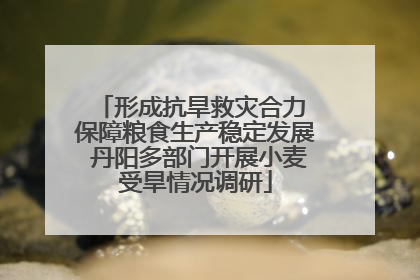 形成抗旱救灾合力 保障粮食生产稳定发展 丹阳多部门开展小麦受旱情况调研