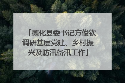 德化县委书记方俊钦调研基层党建、乡村振兴及防汛备汛工作