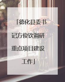 德化县委书记方俊钦调研重点项目建设工作