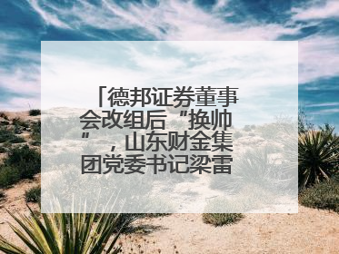 德邦证券董事会改组后“换帅”，山东财金集团党委书记梁雷出任董事长