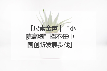 尺素金声｜“小院高墙”挡不住中国创新发展步伐